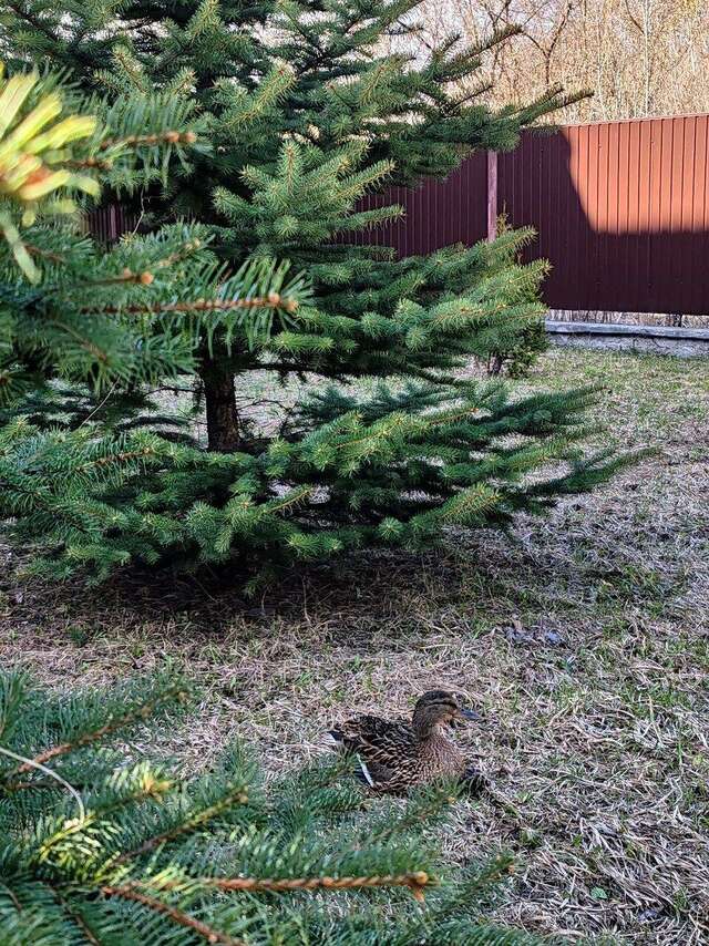 Гостиница Astra Новокузнецк-33