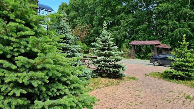 Гостиница Astra Новокузнецк-22