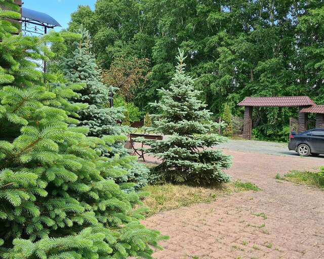 Гостиница Astra Новокузнецк-63